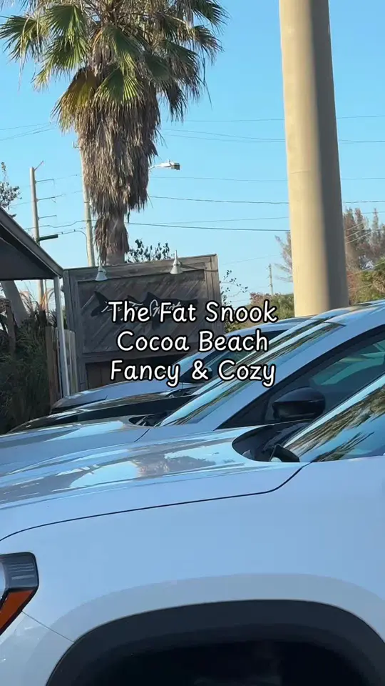 The Fat Snook in Cocoa Beach showing restaurant review, hidden gem, video by melatthebeach on TikTok
