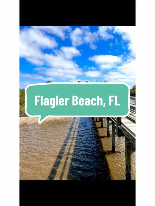 The Golden Lion Cafe in Flagler Beach showing visit, live music, oyster happy hour, video by bigsistersshoppe on TikTok