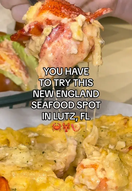 The Great Catch Seafood Lutz in Lutz showing lobster bisque, new england clam chowder, chicken wings, mussels josephine, video by eatlocalflorida on TikTok