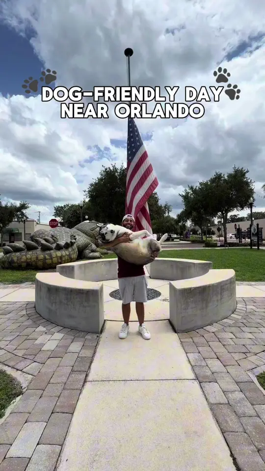 The Greenery Creamery in Sanford showing ice cream, the greenery creamery, video by stufftodoinorlando on TikTok