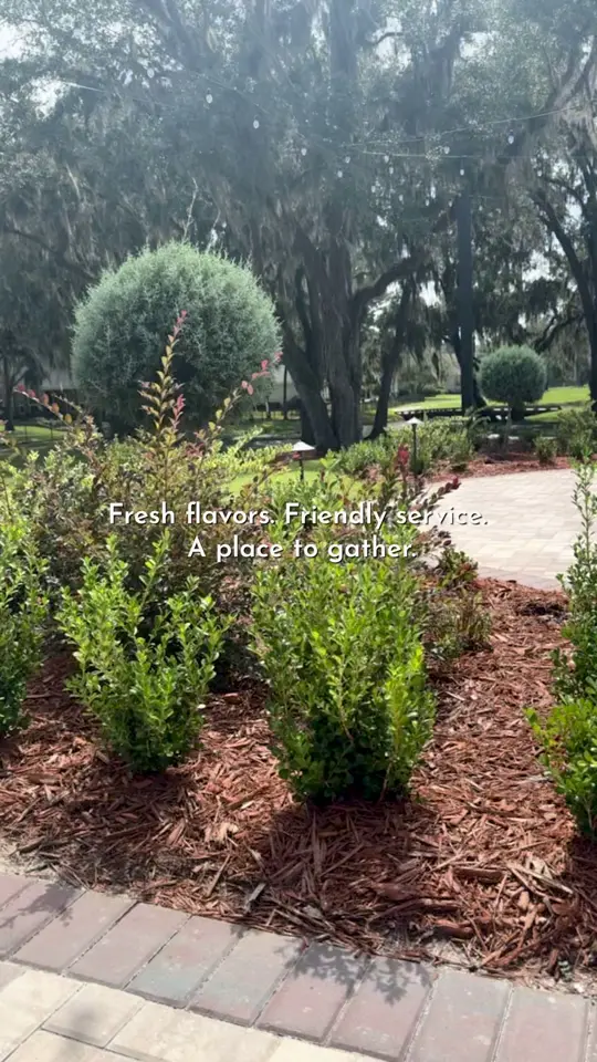 The Grove at Orange Park Country Club in Orange Park showing dining, chef-inspired dishes, casual meal, elevated dinner, citrus club, the grove, video by The Grove at OPCC on Facebook