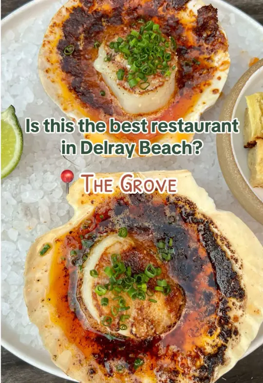 The Grove in Delray Beach showing review, visit, video by grubbedandchugged on TikTok