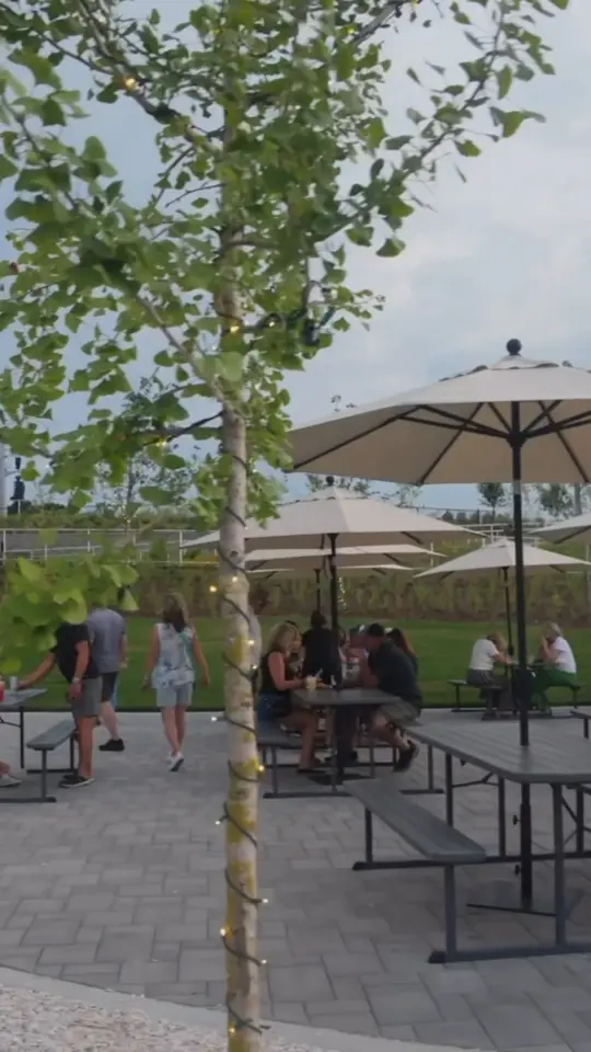 The Grove Restaurant & Tavern in Decatur showing cocktail, bite to eat, video by Freeman Arts Pavilion on Facebook