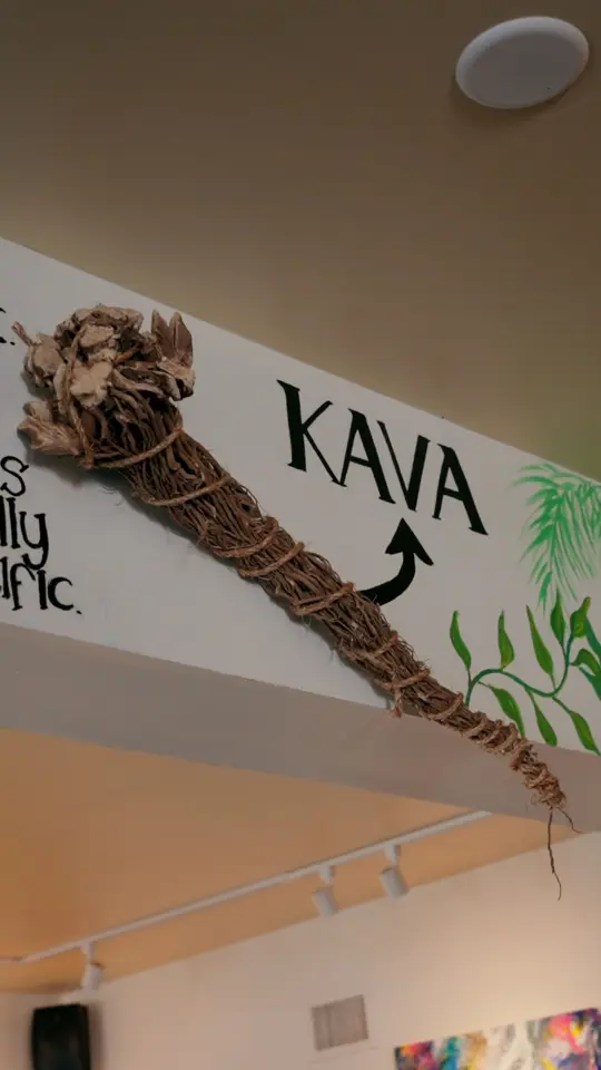 The Muddy Root Kava Cafe in Clearwater showing kava, coffee, croissant, sandwich, video by The Muddy Root Kava Cafe Tampa on Facebook