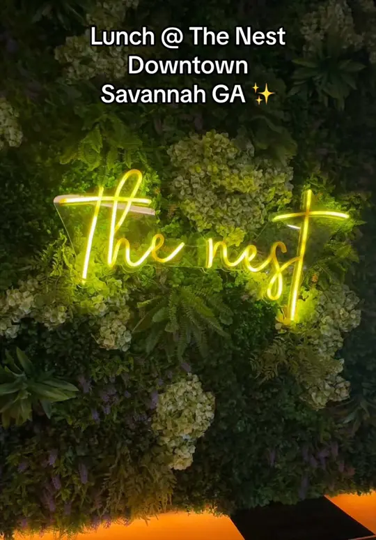 The Nest Rooftop Lounge in Savannah showing review, visit, ambiance, service, food, drinks, video by dagoddessg on TikTok