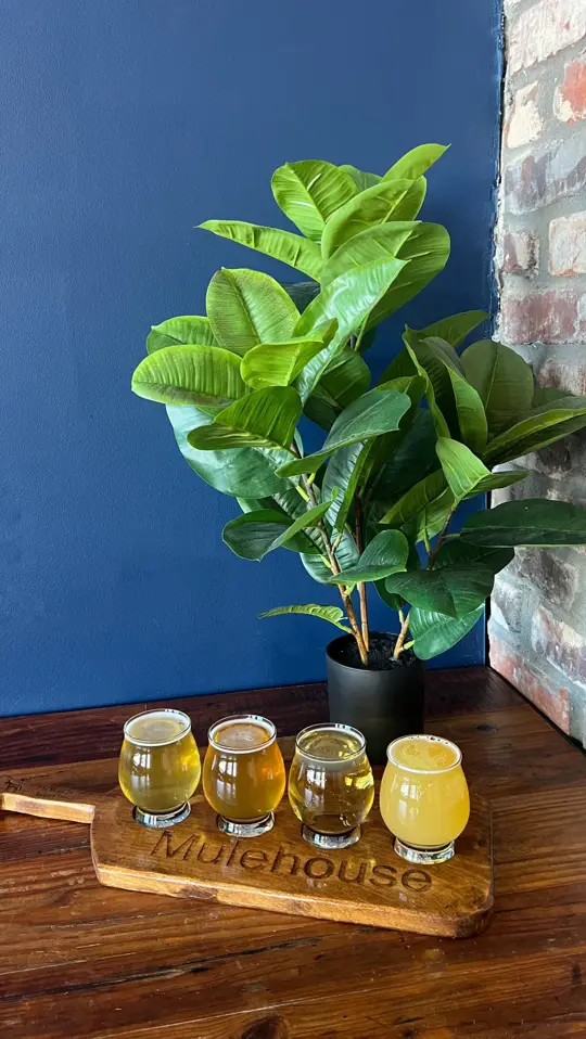 The Old Mulehouse in Jasper showing drinks, half-priced beer flights, video by Old Mulehouse on Facebook