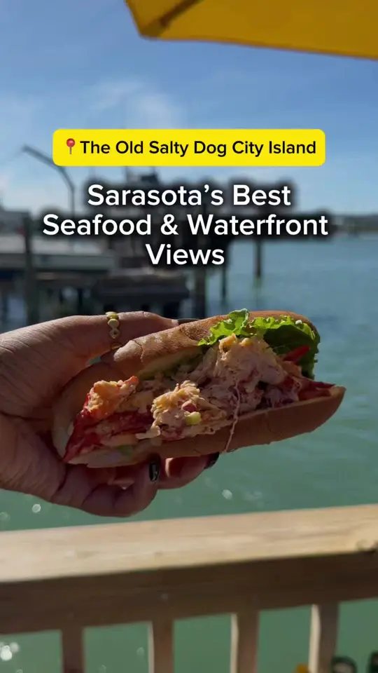 The Old Salty Dog in Sarasota showing food, ½ lb peel n’ eat shrimp, conch fritters, steamed muss, video by eatlocalflorida on TikTok