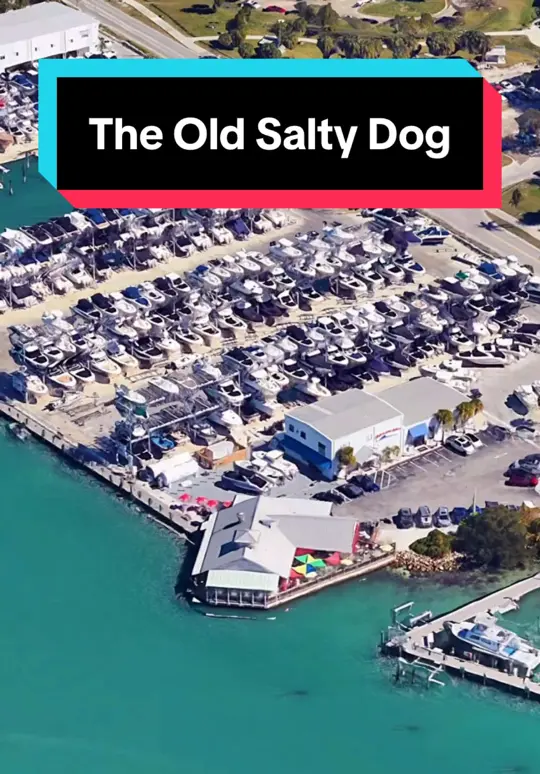 The Old Salty Dog in Sarasota showing restaurant, seafood, video by explorewithmedaily on TikTok
