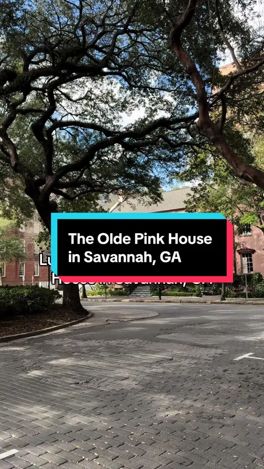 The Olde Pink House in Savannah showing review, visit, cocktail, proper cocktail, blt salad, crispy scored flounder, shrimp and grits, video by twodopesfromjersey on TikTok