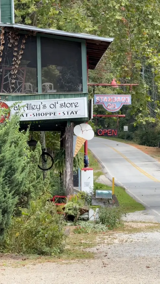 The Open Door at Alley's Ol' Store in Lakemont showing sandwich, local finds, review, visit, video by Mountains and Main on Facebook