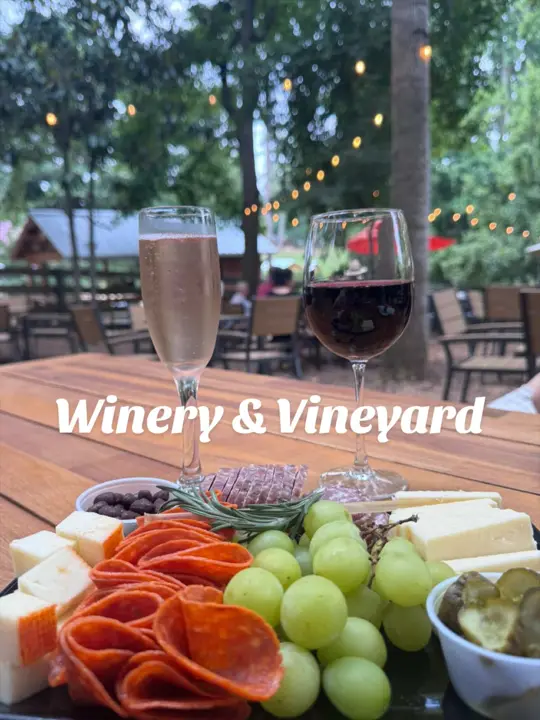 The Painted Horse Winery & Vineyards in Milton showing visit, atmosphere, review, video by lenny.camachoo on TikTok
