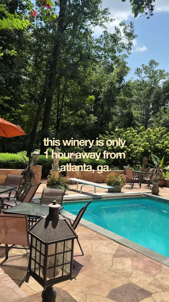 The Painted Horse Winery & Vineyards in Milton showing review, visit, vineyard views, tastings, charcuterie, live music, video by mediabymikayla on TikTok