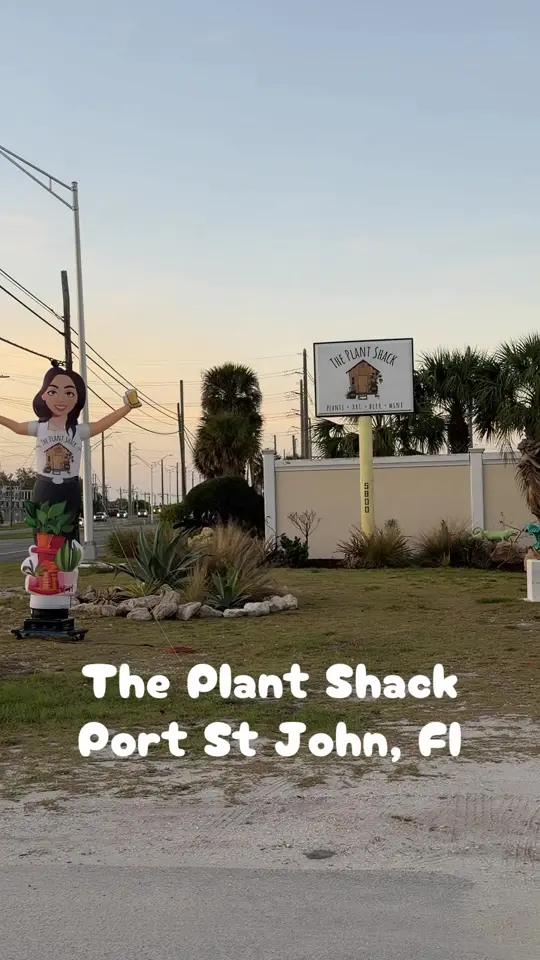 The Plant Shack in Cocoa showing visit, atmosphere, beer garden, smashburgers, beer, wine, video by xkekeyx on TikTok