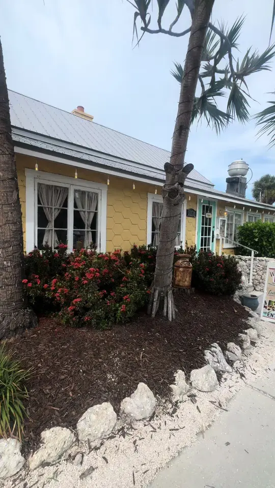  in Florida showing dinner, grouper, video by postcardsandpictures on TikTok