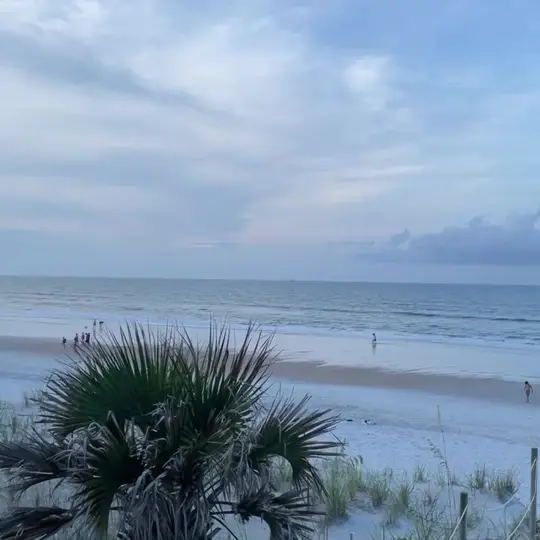  in Florida showing atmosphere, beach, oceanfront, video by The Reef Restaurant on Facebook
