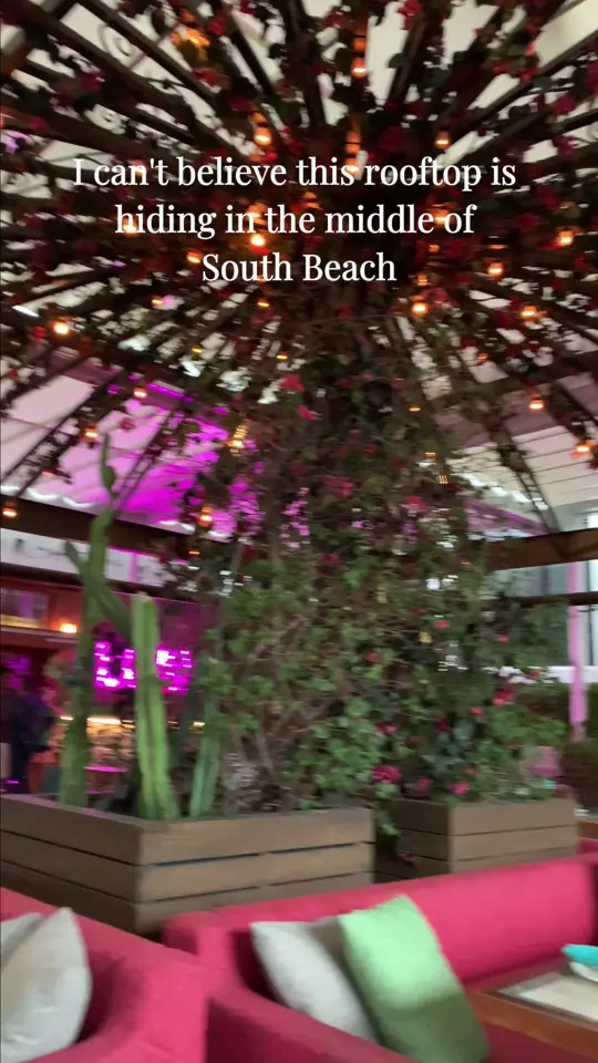 The Roof at Esme Hotel in Miami Beach showing cocktail, rooftop bar, view, video by travelcurator.co on TikTok