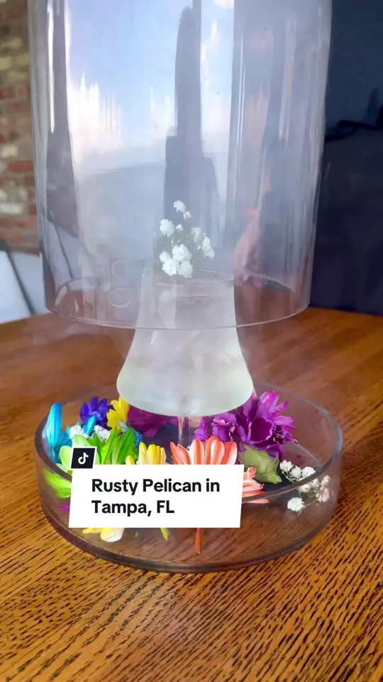 The Rusty Pelican in Tampa showing review, visit, lunch, crispy brussels sprouts, video by christinainitalia on TikTok