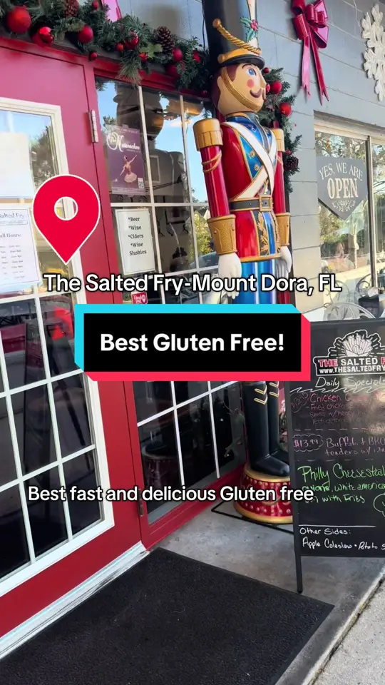 The Salted Fry in Mount Dora showing review, casual vibe, visit, video by magicalparkslynda on TikTok