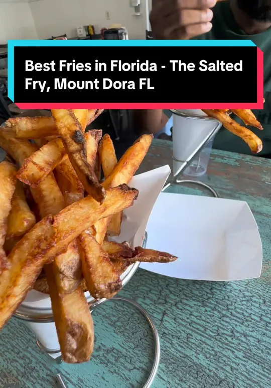 The Salted Fry in Mount Dora showing review, fries, kerfuffle truffle sauce, sandwiches, drinks, desserts, video by branthebroker on TikTok