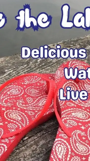 The Sandbar in St. Pete Beach showing live music, sunday brunch, video by SandBar Marina & Grill on Facebook