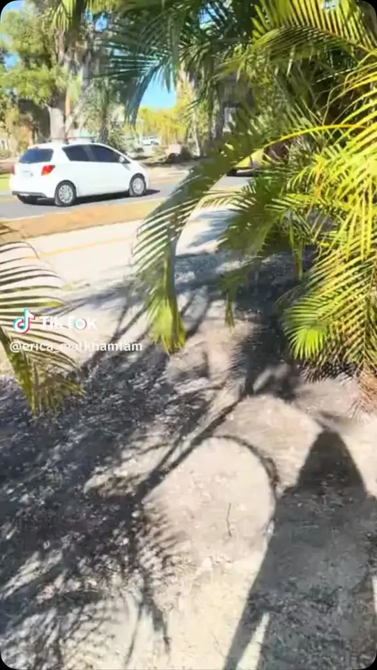 The Shack of Sanibel in Sanibel showing food, fresh frozen custard, video by The Shack of Sanibel on Facebook