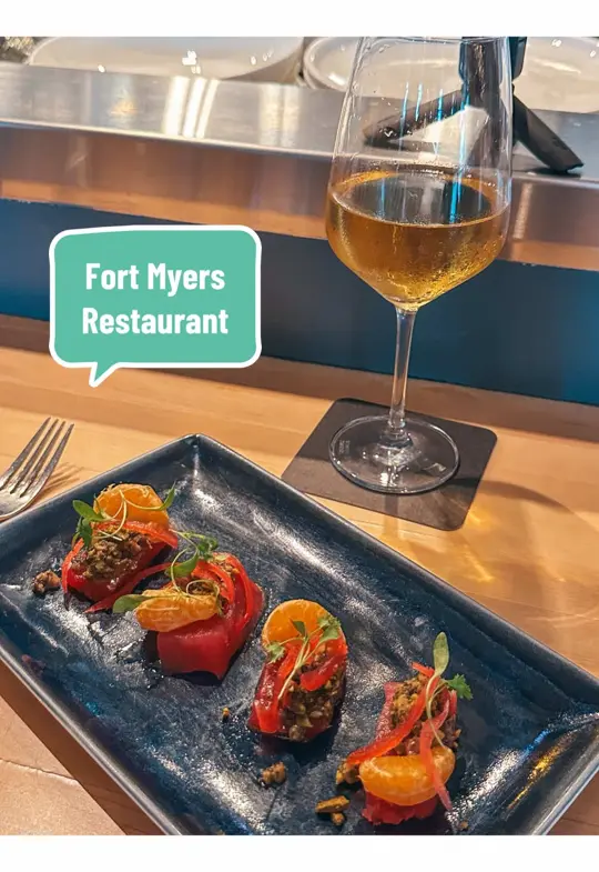 in Florida showing five course tasting experience, review, video by guidedbydestiny on TikTok