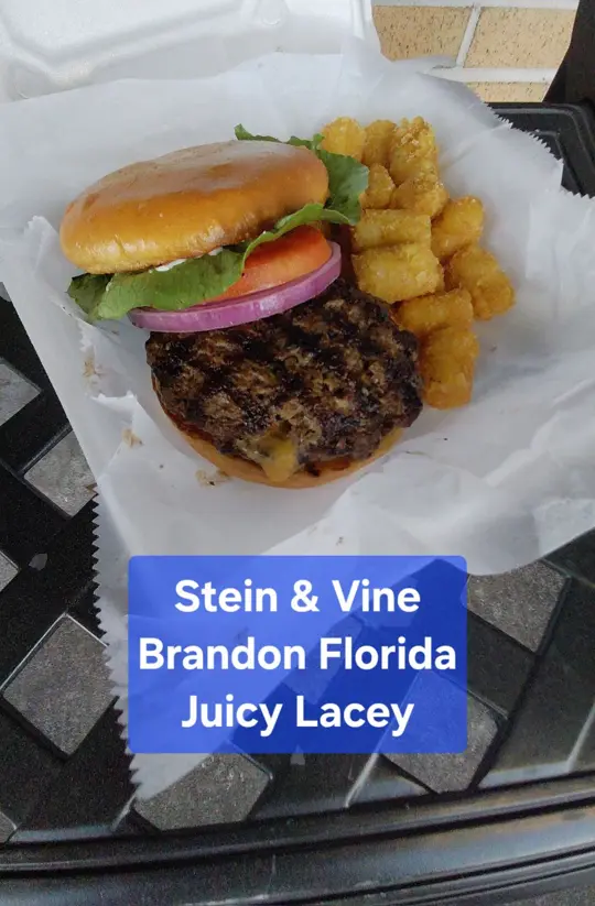  in Florida showing food review, cheeseburger, pub food, video by The Honest Food Guy on Facebook