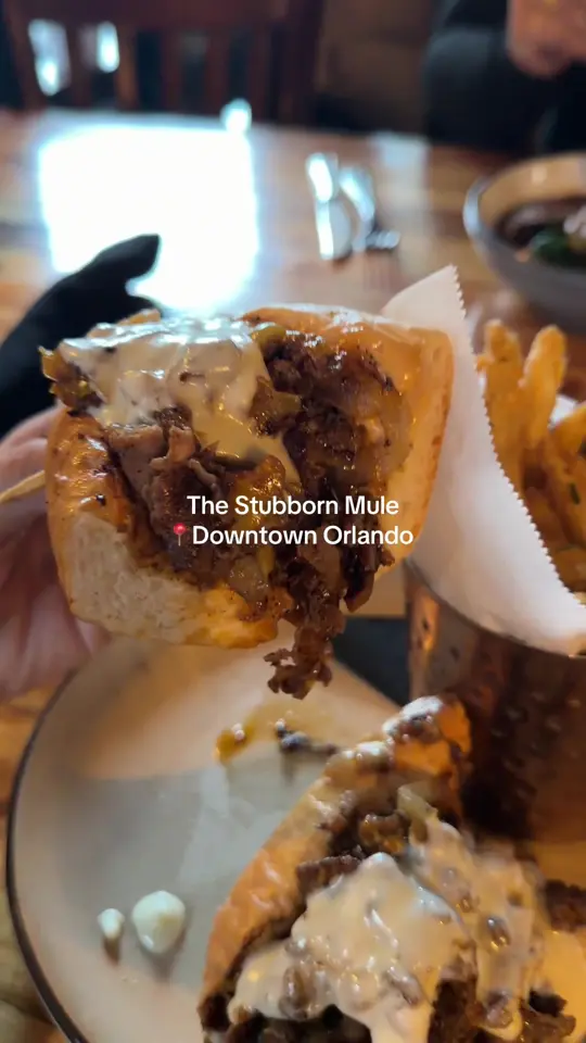 The Stubborn Mule in Orlando showing review, get shorty braised short rib, chipotle cheesesteak, rosemary parmesan fries, video by bellaness21 on TikTok