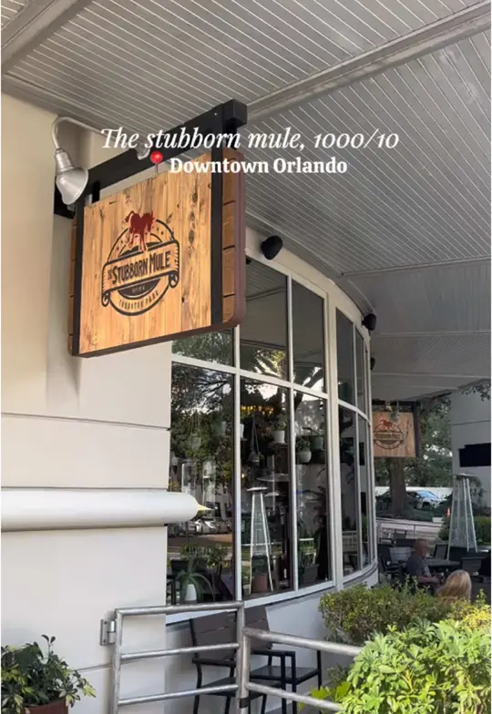 The Stubborn Mule in Orlando showing cocktail, tropical mule; cocktail, brunch branble, video by jamantha414 on TikTok