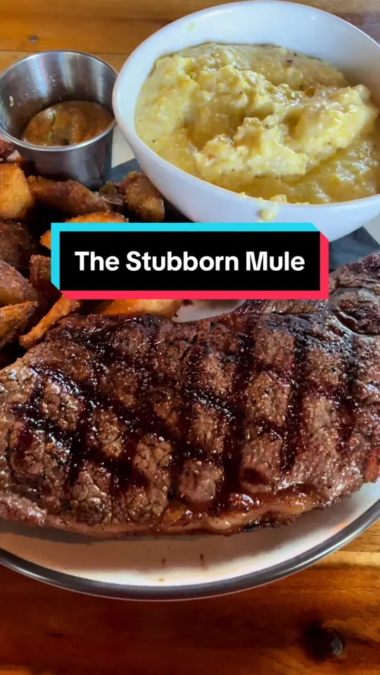 The Stubborn Mule in Orlando showing brunch, restaurant visit, video by thecasualbrian on TikTok