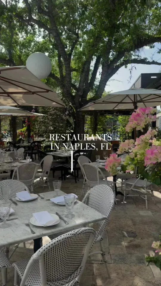 The Syren Oyster & Cocktail Bar in Naples showing cocktail, oyster bar, visit, atmosphere, video by wander__luxe on TikTok