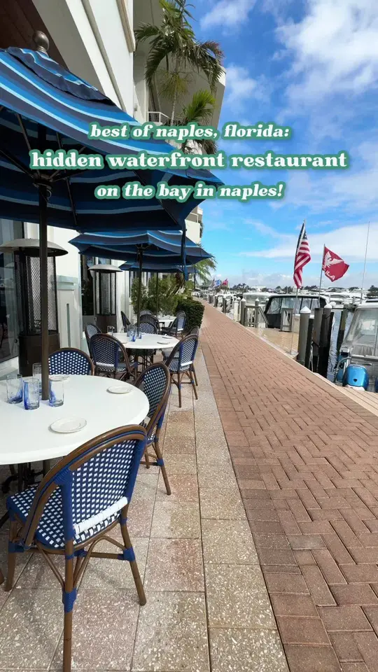 The Syren Oyster & Cocktail Bar in Naples showing review, visit, atmosphere, seafood dishes, chicken & waffles, triggerfish schnitzel, video by naplesnoms on TikTok