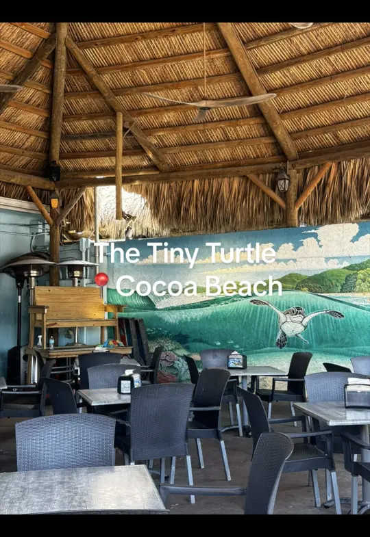 The Tiny Turtle in Cocoa Beach showing review, visit, empanadas, bowls, atmosphere, service, video by dailyhannahvibes on TikTok