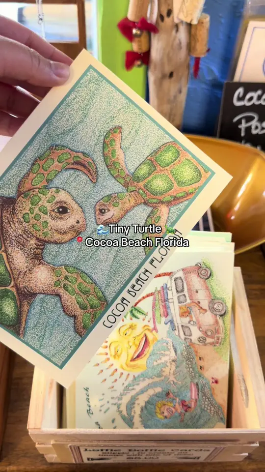 The Tiny Turtle in Cocoa Beach showing food, sofrito bowl w/ mahi-mahi, video by itsashlyxoxo on TikTok