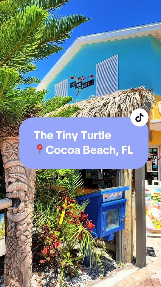 The Tiny Turtle in Cocoa Beach showing review, sofrito bowls, maduros, video by bethanyinnorthernmi on TikTok