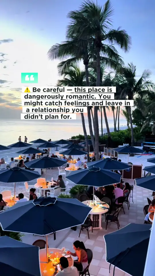 The Turtle Club in Naples showing review, visit, atmosphere, video by naplesinsider on TikTok