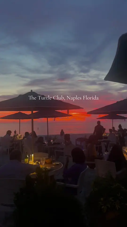 The Turtle Club in Naples showing dinner, sunset, visit, video by lata.jpg on TikTok
