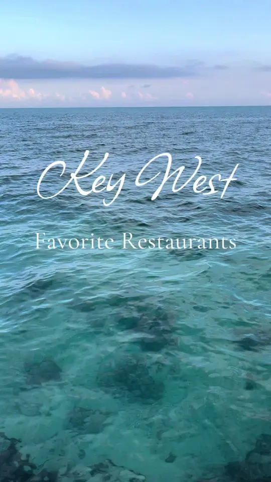 The Waterfront Brewery in Key West showing restaurant visit, beer, video by osozalez on TikTok