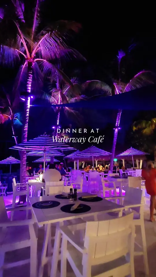 The Waterway Cafe in Palm Beach Gardens showing restaurant review, spinach crab dip, sea bass, snickers ice cream, strawberry spritz, video by thesocialshutterfly on TikTok