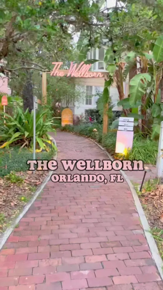The Wellborn Restaurant & Bar in Orlando showing review, visit, video by optionsintheo on TikTok
