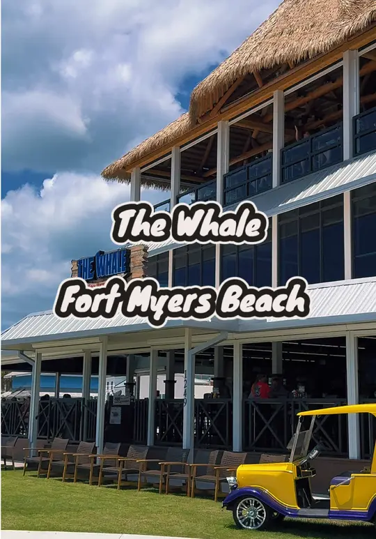 The Whale in Fort Myers Beach showing visit, ocean views, food, drinks, atmosphere, video by sanibelshelbz on TikTok