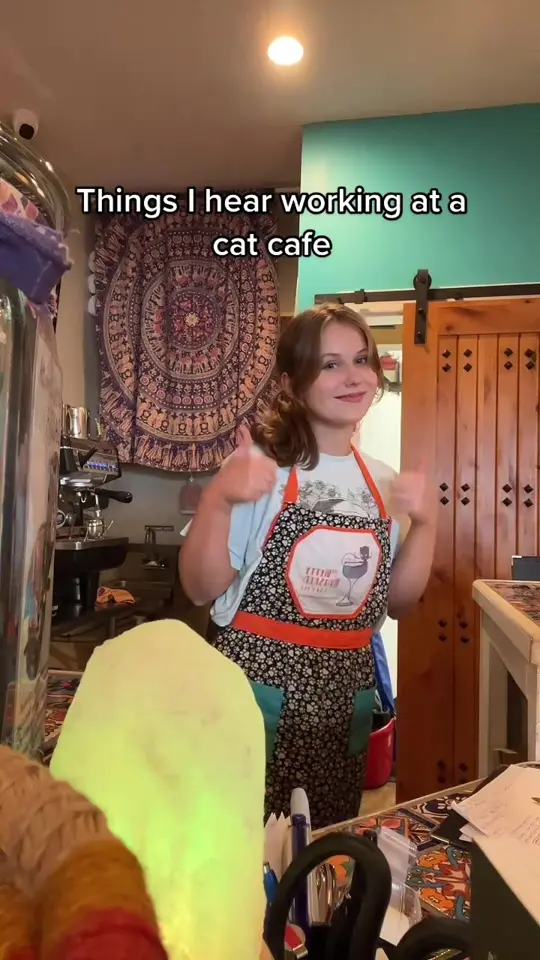 The Witty Whisker Cat Cafe in St. Augustine showing review, visit, video by wittywhisker on TikTok