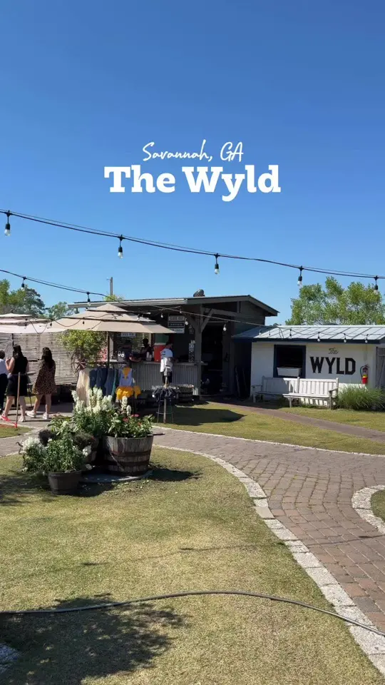 The Wyld in Savannah showing food, seafood; drinks, cocktails; atmosphere, dockside views, video by katelynzdaily on TikTok
