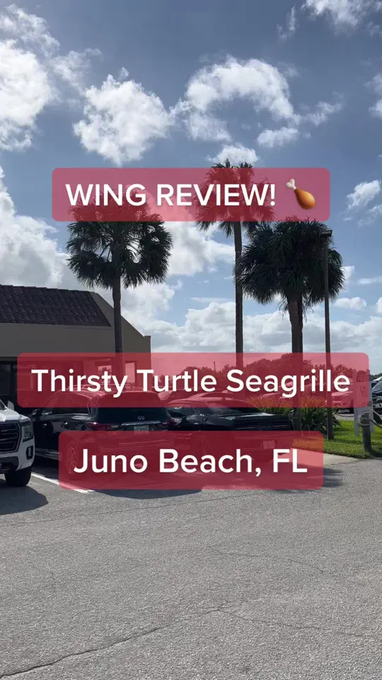 Thirsty Turtle Seagrill in Juno Beach showing wing review, chicken wings, video by airportsanonymous on TikTok