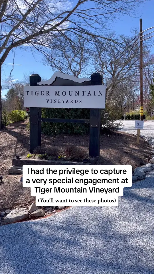 Tiger Mountain Vineyards & Wedding Venue in Tiger showing review, visit, video by sparksofjoyco on TikTok