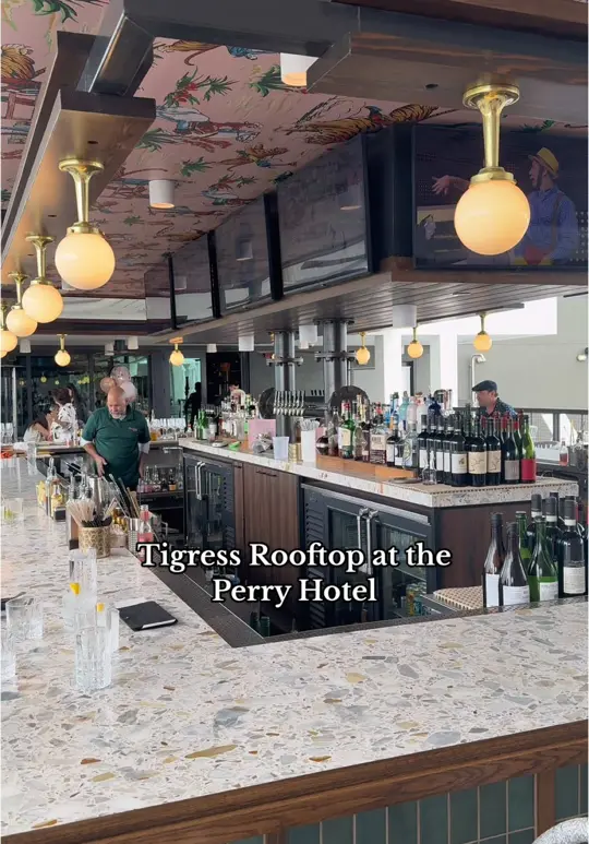 Tigress Restaurant & Rooftop Bar in Naples showing review, visit, video by veronica.lennon on TikTok