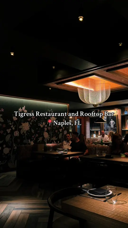 Tigress Restaurant & Rooftop Bar in Naples showing date night, atmosphere, rooftop bar, video by berkley_hill on TikTok