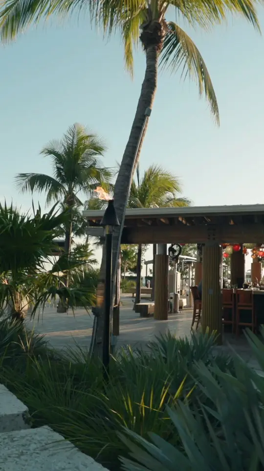 Tiki Bar at Amara Cay Resort in Islamorada showing cocktail, rum runner, live music, atmosphere, video by Islamorada Resort Collection on Facebook