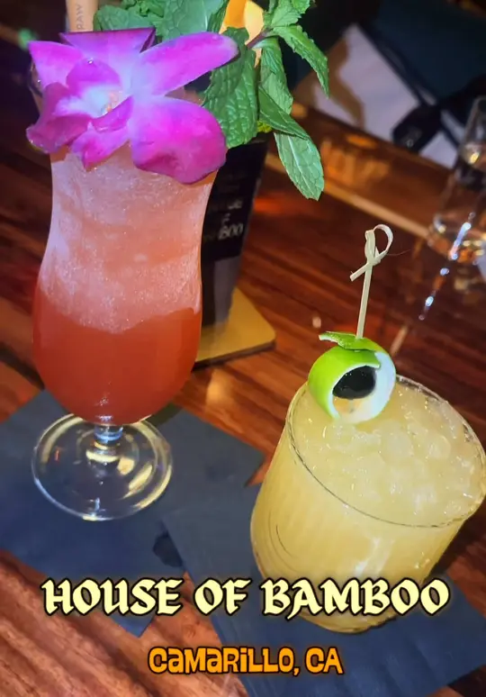 Tiki Bar & Grill in Minneola showing review, visit, atmosphere, video by sugarhook805 on TikTok