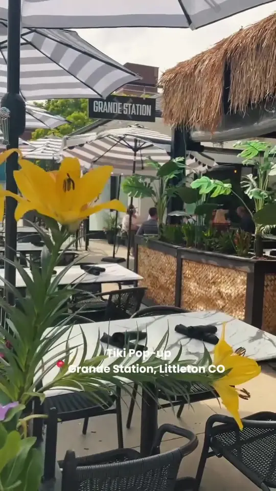 Tiki Bar & Grill in Sebastian showing tiki bar, pop-up event, drinks, atmosphere, video by onetoncreative on TikTok